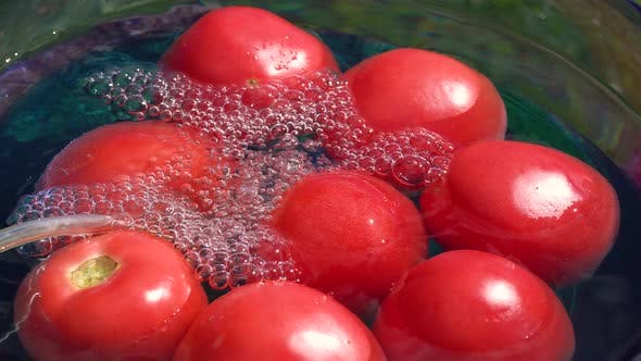 Ozone disinfection of tomato processing plant