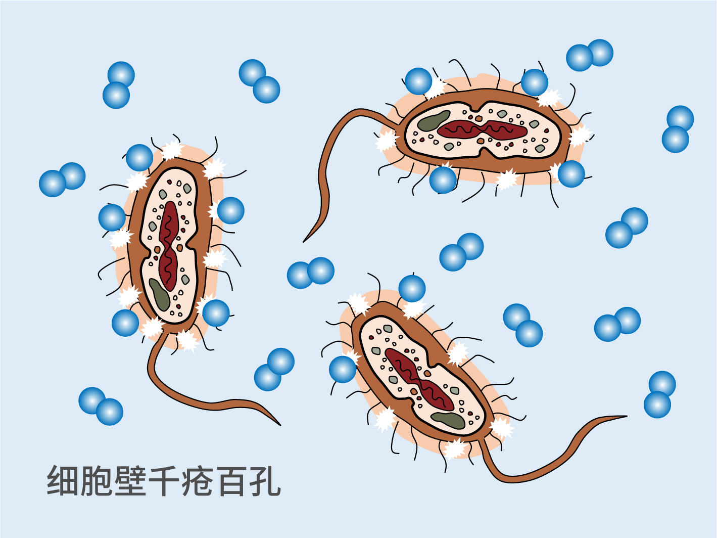 Figure 3 