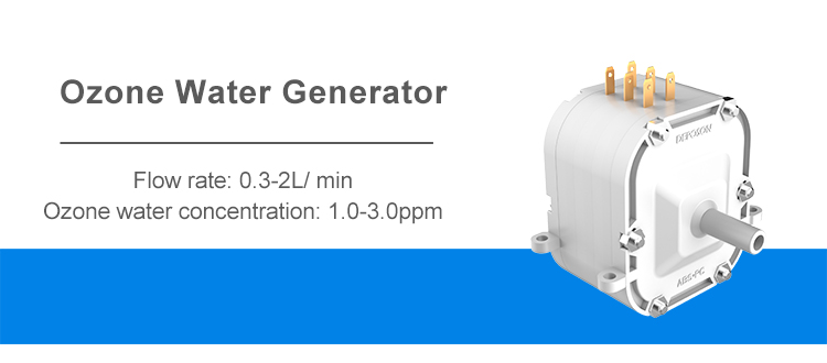 Ozone Water Generator