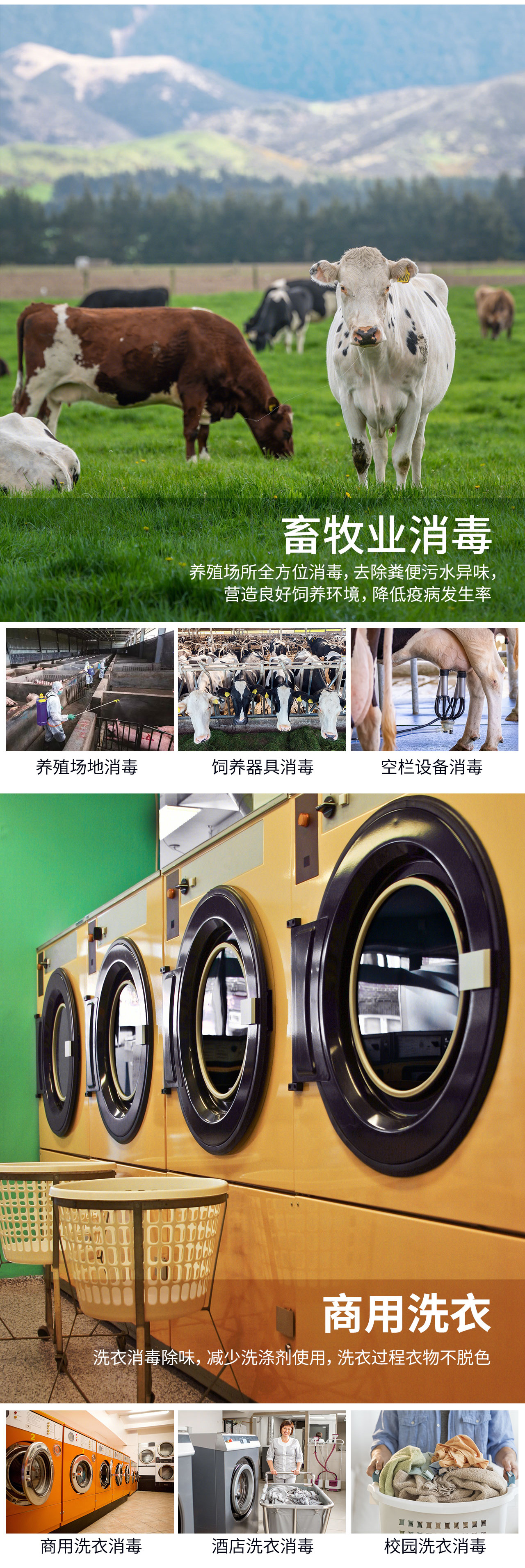 4L details page_04