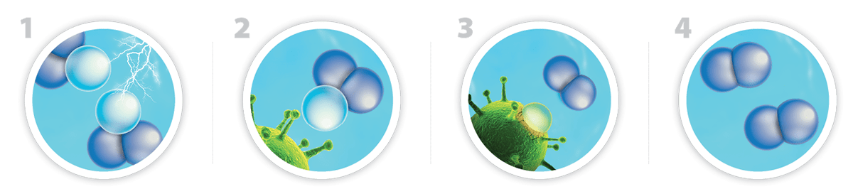 Comparison of ozone disinfectants